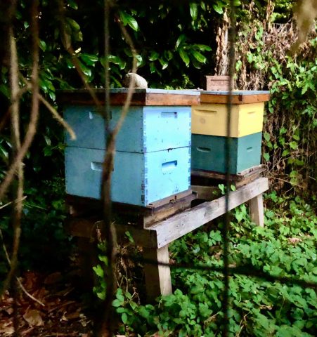 Beehives
