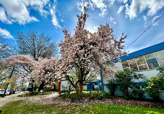 Just in: Our March KCCS Newsletter